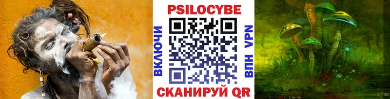 Галлюциногенные грибы Psilocybe  Судогда 