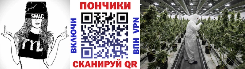 Бошки Шишки VHQ  Судогда 
